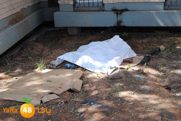 jotha dead yaffa 701 (4).JPG